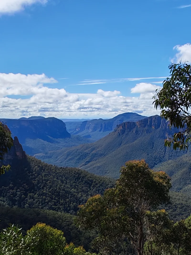 Forested valleys and sandstone cliffs from Hargraves Lookout