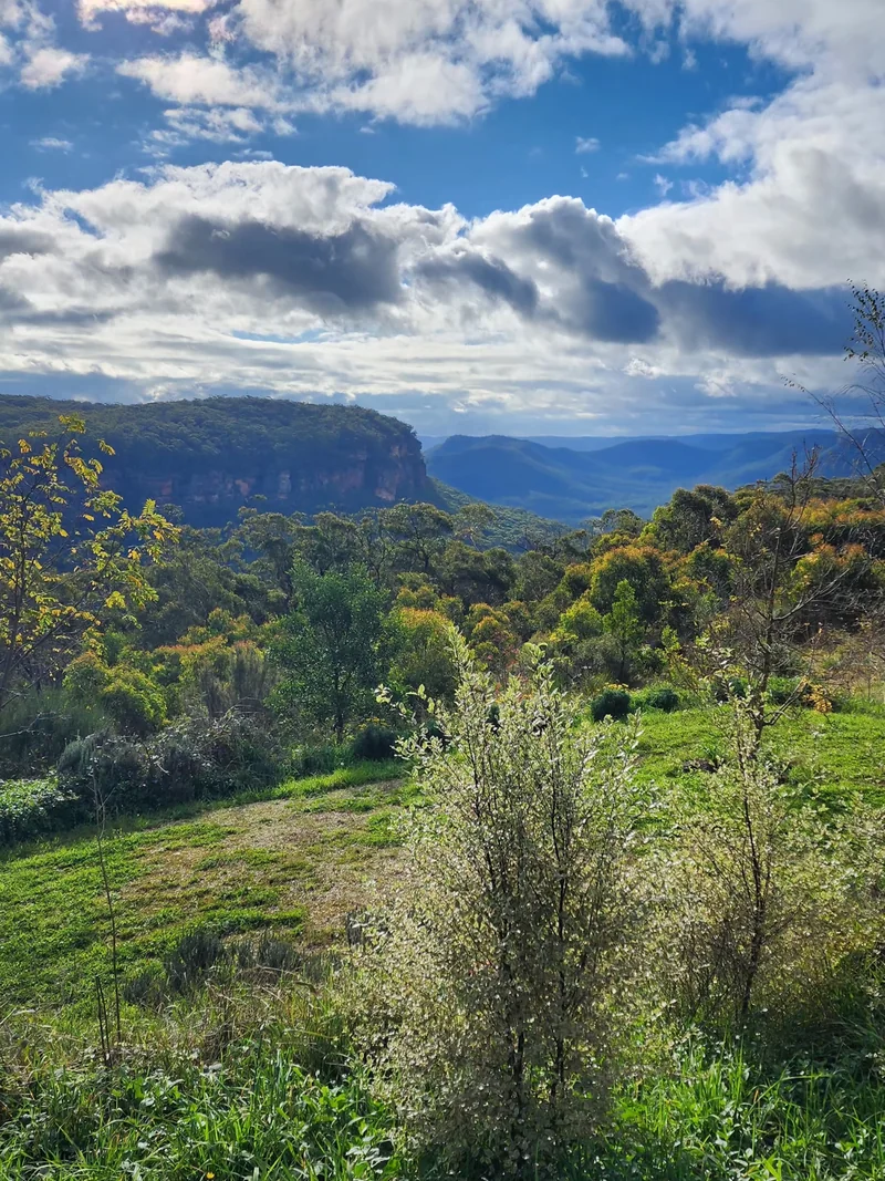A green mountain garden opening toward forested sandstone escarpments